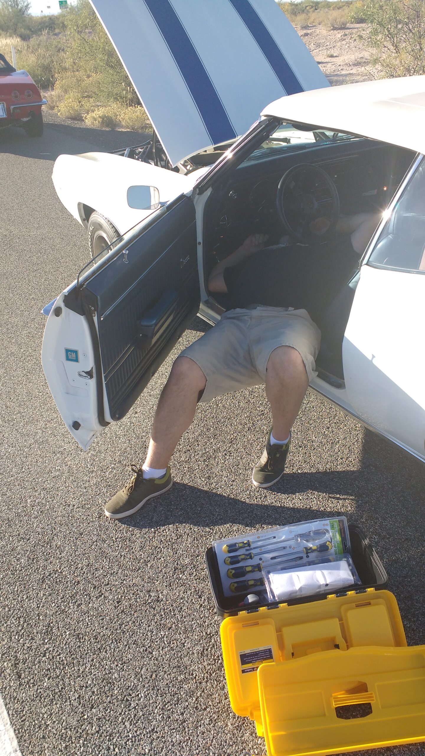 IMG_20161018_170828607